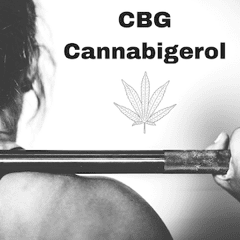 Cannafitness_CBG