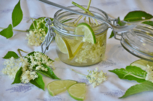 Shrub Cocktails