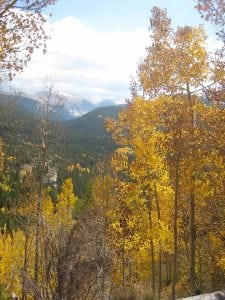 Fall foliage in colorado